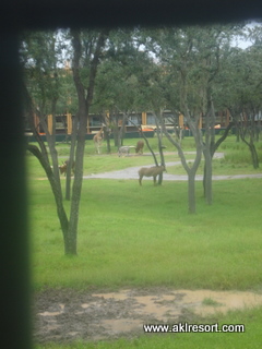 Room view 3